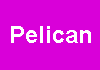 Pelican